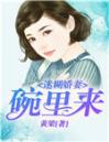 迷糊娇妻：碗里来