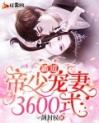 霸道帝少宠妻3600式