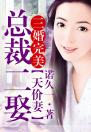 三婚完美，总裁二娶天价妻