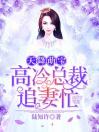 天降萌宝：高冷总裁追妻忙