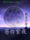 苍白紫夜