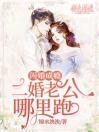 闪婚成瘾：二婚老公哪里跑