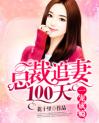 总裁追妻100天