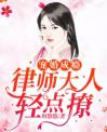 宠婚成瘾：律师大人轻点撩